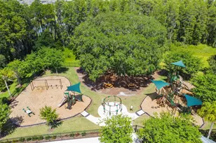 10742 New Morning Dr, Tampa, FL 33647 - Photo 44