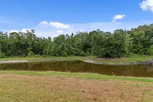 10742 New Morning Dr, Tampa, FL 33647 - Photo 34