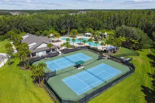 10742 New Morning Dr, Tampa, FL 33647 - Photo 40