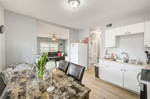 2318 W Powhatan Ave, Tampa, FL 33603 - Photo 10