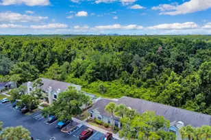 5100 Burchette Rd, Tampa, FL 33647 - Photo 60
