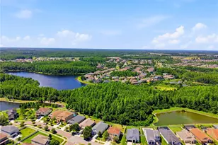 21439 Southern Charm Dr, Land O Lakes, FL 34637 - Photo 54