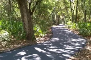 6921 Jamestown Manor Dr, Riverview, FL 33578 - Photo 28
