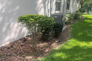 8509 Alexandra Arbor Ln, Tampa, FL 33637 - Photo 14