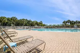 3814 Judson Dr, Land O Lakes, FL 34638 - Photo 86