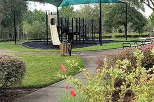 34421 Blue Ash Ct, Wesley Chapel, FL 33545 - Photo 22