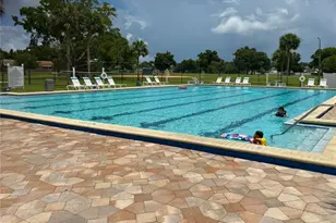 10009 Regal Woods Ln, Tampa, FL 33624 - Photo 36