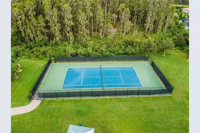 19236 Climbing Aster Drive, Tampa, FL 33647 - Photo 84