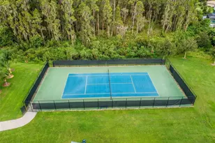 19236 Climbing Aster Dr, Tampa, FL 33647 - Photo 84