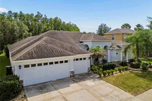 19236 Climbing Aster Dr, Tampa, FL 33647 - Photo 64