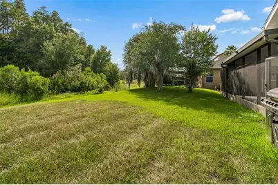 19236 Climbing Aster Drive, Tampa, FL 33647 - Photo 54