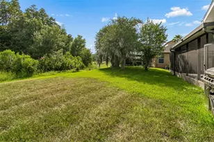 19236 Climbing Aster Dr, Tampa, FL 33647 - Photo 54