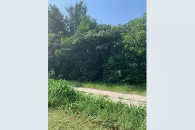 Tba SE 145th Place, Summerfield, FL 34491 - Photo 2