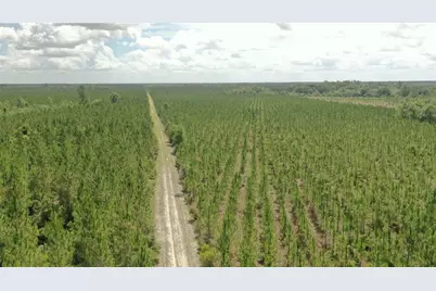 Us Hwy 441 N, Lake City, FL 32055 - Photo 22
