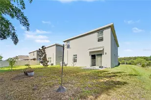 3446 Suncoast Plains Dr, Odessa, FL 33556 - Photo 16