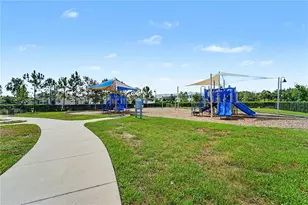 3446 Suncoast Plains Dr, Odessa, FL 33556 - Photo 22