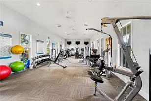 3446 Suncoast Plains Dr, Odessa, FL 33556 - Photo 18
