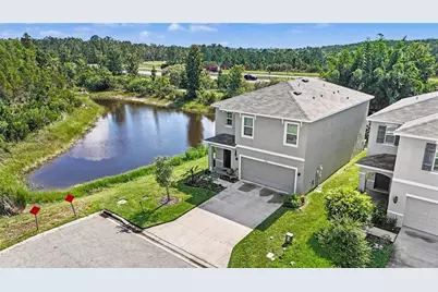 3446 Suncoast Plains Drive, Odessa, FL 33556 - Photo 4