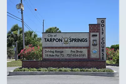 1673 Seascape Circle #102, Tarpon Springs, FL 34689 - Photo 80