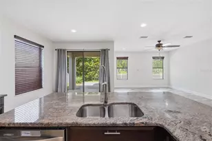 1120 Maza Pl, Trinity, FL 34655 - Photo 20