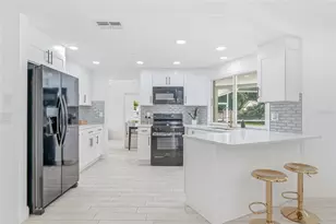2462 Stephanie Dr, Spring Hill, FL 34608 - Photo 18