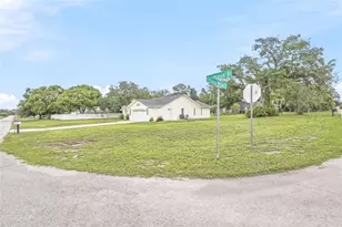 2462 Stephanie Dr, Spring Hill, FL 34608 - Photo 44