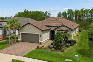 29534 Ginnetto Dr, Wesley Chapel, FL 33543 - Photo 1