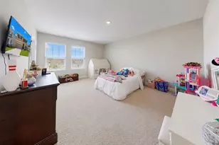 172 Mangrove Manor Dr, Apollo Beach, FL 33572 - Photo 20
