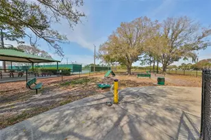 13403 Beechberry Dr, Riverview, FL 33579 - Photo 46