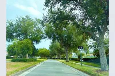 8026 Carriage Pointe Drive, Gibsonton, FL 33534 - Photo 66