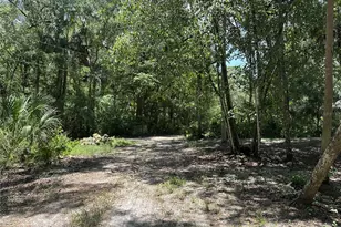 292 S Dew Plant Point, Crystal River, FL 34429 - Photo 4