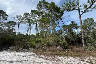 2117 Gardenia Terrace, Sebring, FL 33875 - Photo 1