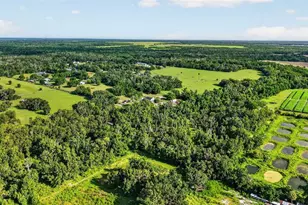 8922 Pritcher Rd, Lithia, FL 33547 - Photo 72