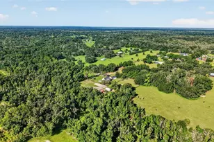 8922 Pritcher Rd, Lithia, FL 33547 - Photo 58