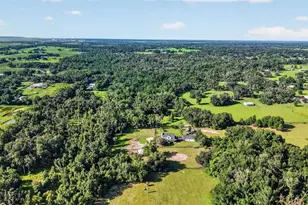 8922 Pritcher Rd, Lithia, FL 33547 - Photo 66