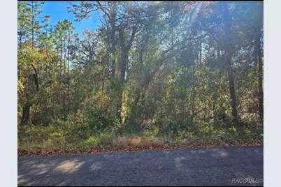 609 N Brighton Road, Lecanto, FL 34461 - Photo 2