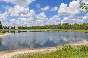 18876 Beautyberry Ct, Lutz, FL 33558 - Photo 18