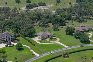 11518 Hammock Oaks Ct, Lithia, FL 33547 - Photo 2