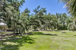 11518 Hammock Oaks Ct, Lithia, FL 33547 - Photo 72