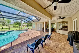 11518 Hammock Oaks Ct, Lithia, FL 33547 - Photo 56