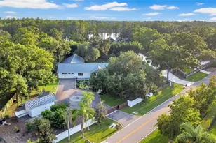 3440 Crenshaw Lake Rd, Lutz, FL 33548 - Photo 86