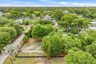 1008 W Adalee St, Tampa, FL 33603 - Photo 8