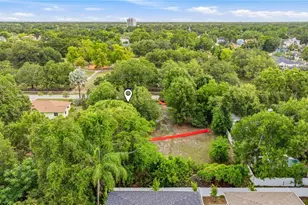 1008 W Adalee St, Tampa, FL 33603 - Photo 10