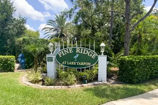 3134 Lake Pine Way, Tarpon Springs, FL 34688 - Photo 42