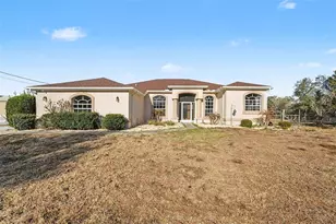 16031 Donney Moor Ln, Spring Hill, FL 34610 - Photo 2
