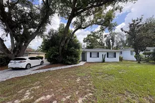 309 Deer Park Ave, Tampa, FL 33617 - Photo 4