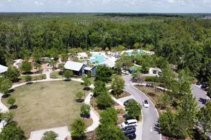 16485 Courtyard Loop, Land O Lakes, FL 34638 - Photo 58