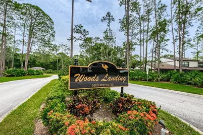 205 Woods Landing Trail, Oldsmar, FL 34677 - Photo 34