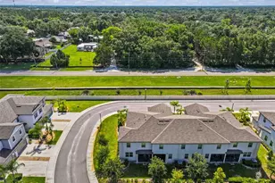 1603 Roseville St, Lutz, FL 33549 - Photo 42