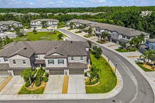 1603 Roseville St, Lutz, FL 33549 - Photo 40